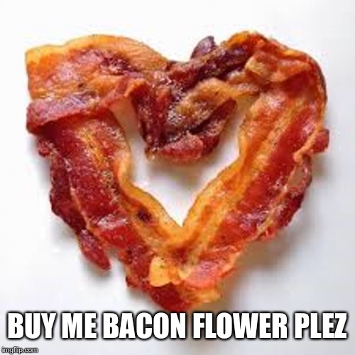 bacon | BUY ME BACON FLOWER PLEZ | image tagged in bacon | made w/ Imgflip meme maker