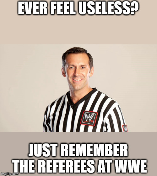 dont feel useless | EVER FEEL USELESS? JUST REMEMBER THE REFEREES AT WWE | image tagged in wwe,funny,memes | made w/ Imgflip meme maker