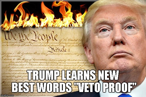 Dear Mr. President - YOU WILL NOT DESTROY THE U.S. CONSTITUTION | TRUMP LEARNS NEW BEST WORDS "VETO PROOF" | image tagged in veto proof,national emergency,impeach trump,trump impeachment,election 2020 | made w/ Imgflip meme maker