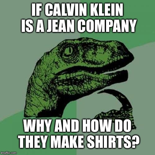 Philosoraptor Meme | IF CALVIN KLEIN IS A JEAN COMPANY; WHY AND HOW DO THEY MAKE SHIRTS? | image tagged in memes,philosoraptor | made w/ Imgflip meme maker