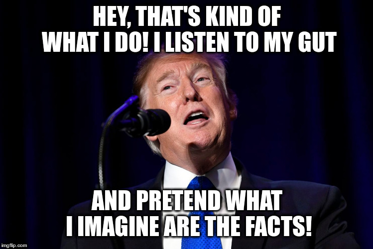 HEY, THAT'S KIND OF WHAT I DO! I LISTEN TO MY GUT AND PRETEND WHAT I IMAGINE ARE THE FACTS! | made w/ Imgflip meme maker