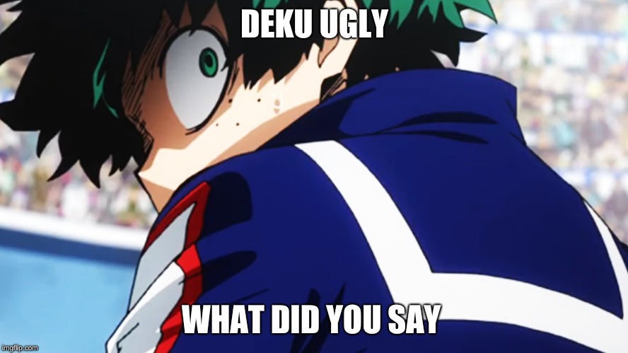 Deku what you say | DEKU UGLY; WHAT DID YOU SAY | image tagged in deku what you say | made w/ Imgflip meme maker