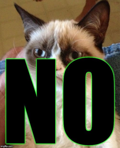 Grumpy Cat Meme | NO | image tagged in memes,grumpy cat | made w/ Imgflip meme maker