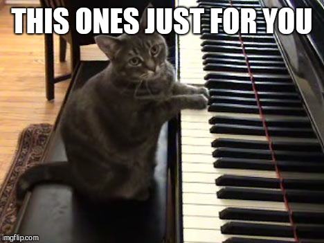 cat piano | THIS ONES JUST FOR YOU | image tagged in cat piano | made w/ Imgflip meme maker