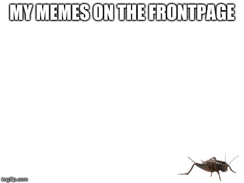 ... | MY MEMES ON THE FRONTPAGE | image tagged in blank white template | made w/ Imgflip meme maker