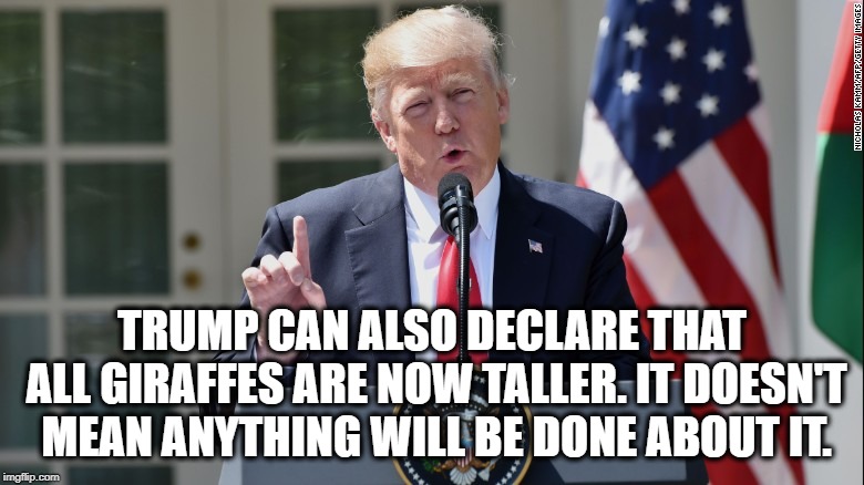 Trump Declares National Emergency | TRUMP CAN ALSO DECLARE THAT ALL GIRAFFES ARE NOW TALLER. IT DOESN'T MEAN ANYTHING WILL BE DONE ABOUT IT. | image tagged in donald trump,government,wall,border,treason,traitor | made w/ Imgflip meme maker