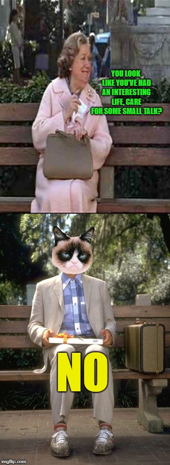 Forrest Grump for Forrest Gump week 2/10 - 2/16, a CravenMoordik event | YOU LOOK LIKE YOU'VE HAD AN INTERESTING LIFE, CARE FOR SOME SMALL TALK? NO | image tagged in forrest gump,forrest gump week,forrest grump,grumpy cat | made w/ Imgflip meme maker