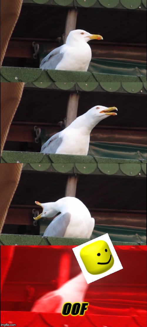 Inhaling Seagull | OOF | image tagged in memes,inhaling seagull | made w/ Imgflip meme maker