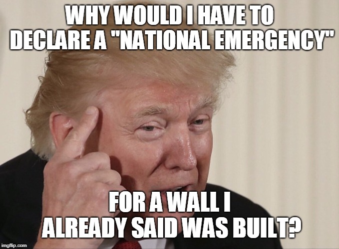 Why would I have to declare a "National Emergency" | WHY WOULD I HAVE TO DECLARE A "NATIONAL EMERGENCY"; FOR A WALL I ALREADY SAID WAS BUILT? | image tagged in trump,lie,wall,emergency | made w/ Imgflip meme maker