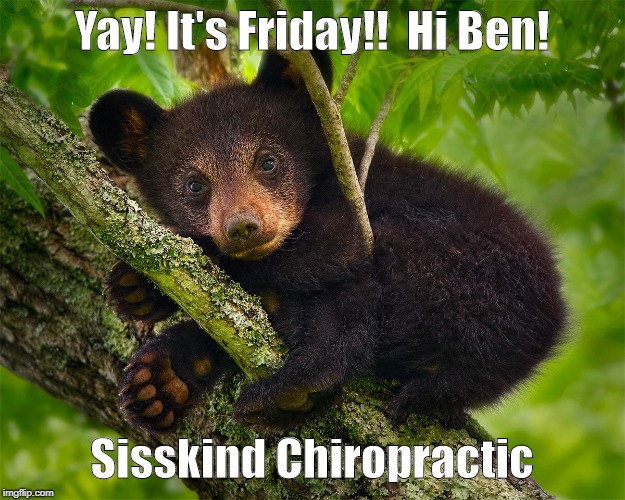 Yay! It's Friday!!  Hi Ben! Sisskind Chiropractic | image tagged in yay it's friday | made w/ Imgflip meme maker