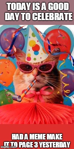 Celebration Station | TODAY IS A GOOD DAY TO CELEBRATE; HAD A MEME MAKE IT TO PAGE 3 YESTERDAY | image tagged in cat celebration,cat,memes | made w/ Imgflip meme maker