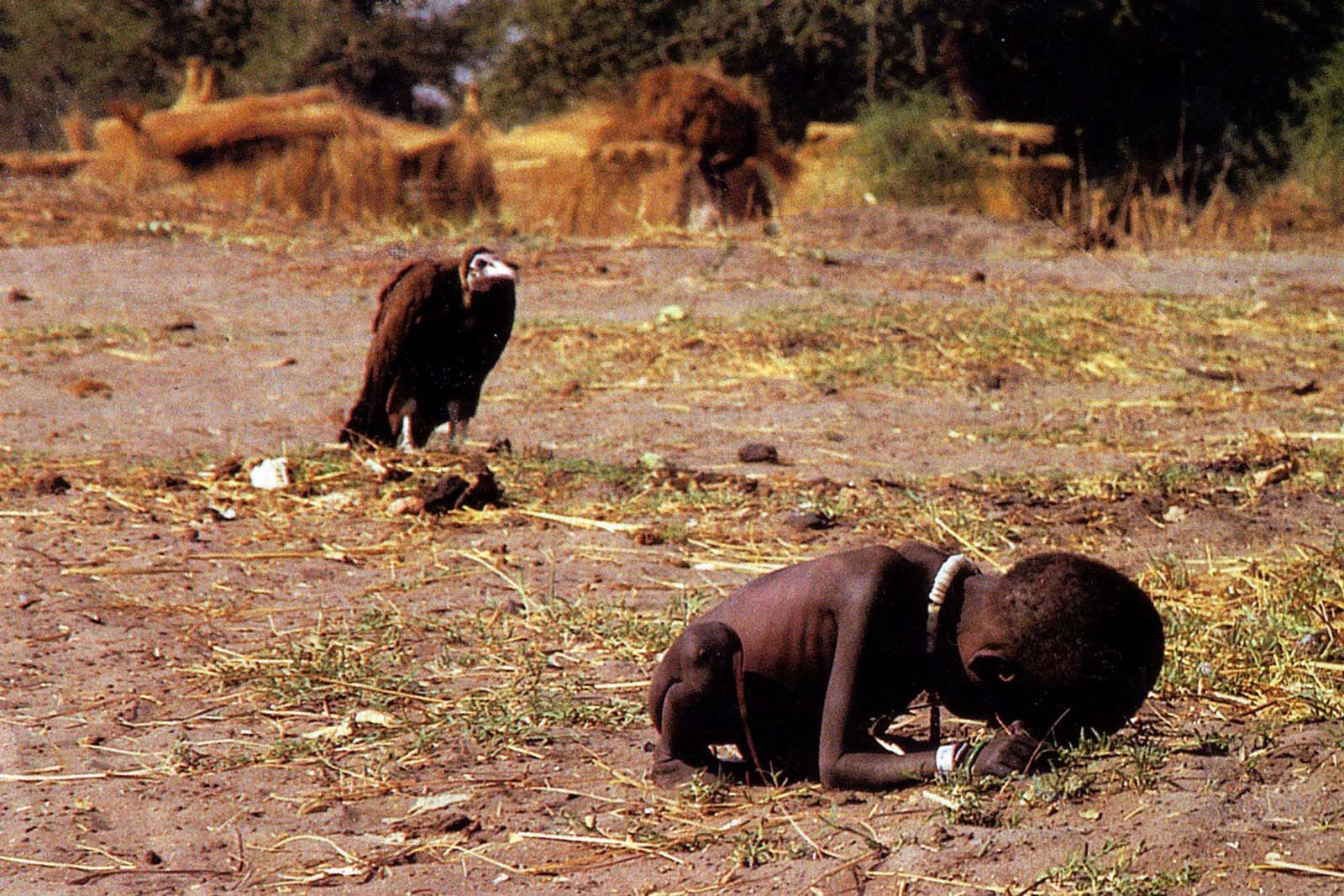 High Quality starving girl and vulture Blank Meme Template