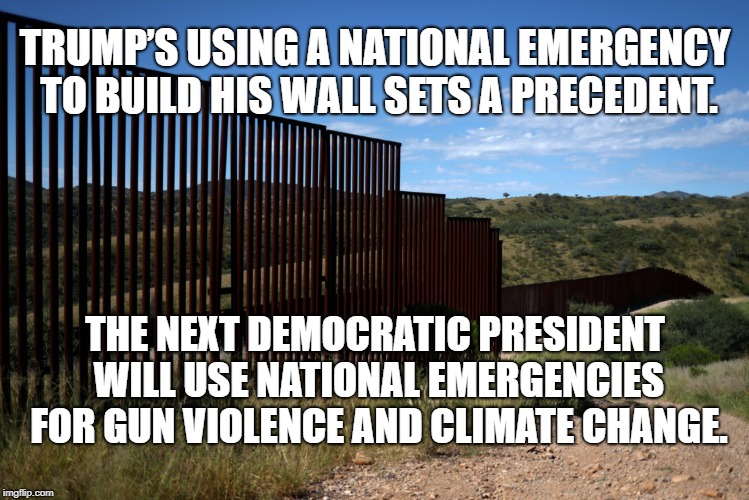 Trump's Wall Precedent | TRUMP’S USING A NATIONAL EMERGENCY TO BUILD HIS WALL SETS A PRECEDENT. THE NEXT DEMOCRATIC PRESIDENT WILL USE NATIONAL EMERGENCIES FOR GUN VIOLENCE AND CLIMATE CHANGE. | image tagged in donald trump,trump,trump wall,the wall,border wall,politics | made w/ Imgflip meme maker