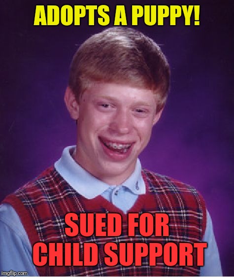 Bad Luck Brian Meme | ADOPTS A PUPPY! SUED FOR CHILD SUPPORT | image tagged in memes,bad luck brian | made w/ Imgflip meme maker
