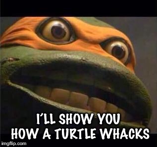 teen age mutant ninja turtle | I’LL SHOW YOU HOW A TURTLE WHACKS | image tagged in teen age mutant ninja turtle | made w/ Imgflip meme maker
