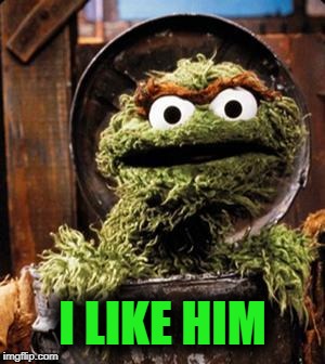 Oscar the Grouch | I LIKE HIM | image tagged in oscar the grouch | made w/ Imgflip meme maker