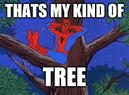 spiderman tree | THATS MY KIND OF TREE | image tagged in spiderman tree | made w/ Imgflip meme maker