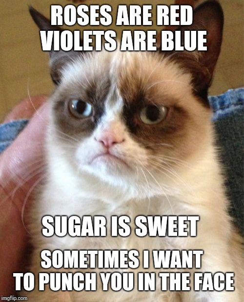 Happy Every Other Day | VIOLETS ARE BLUE; ROSES ARE RED; SUGAR IS SWEET; SOMETIMES I WANT TO PUNCH YOU IN THE FACE | image tagged in memes,grumpy cat,ugh,the struggle is real,the struggle,reality check | made w/ Imgflip meme maker