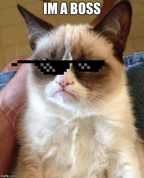 Grumpy Cat Meme | IM A BOSS | image tagged in memes,grumpy cat | made w/ Imgflip meme maker