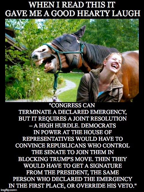 A Far More Apt State of Emergency Needs to be Declared.  | WHEN I READ THIS IT GAVE ME A GOOD HEARTY LAUGH; "CONGRESS CAN TERMINATE A DECLARED EMERGENCY, BUT IT REQUIRES A JOINT RESOLUTION – A HIGH HURDLE. DEMOCRATS IN POWER AT THE HOUSE OF REPRESENTATIVES WOULD HAVE TO CONVINCE REPUBLICANS WHO CONTROL THE SENATE TO JOIN THEM IN BLOCKING TRUMP'S MOVE. THEN THEY WOULD HAVE TO GET A SIGNATURE FROM THE PRESIDENT, THE SAME PERSON WHO DECLARED THE EMERGENCY IN THE FIRST PLACE, OR OVERRIDE HIS VETO." | image tagged in laugh,emergency,donald trump,president,border wall,override | made w/ Imgflip meme maker