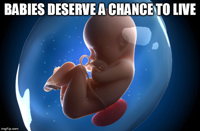 Stop killing babies | BABIES DESERVE A CHANCE TO LIVE | image tagged in pro life,abortion is murder,life lessons | made w/ Imgflip meme maker