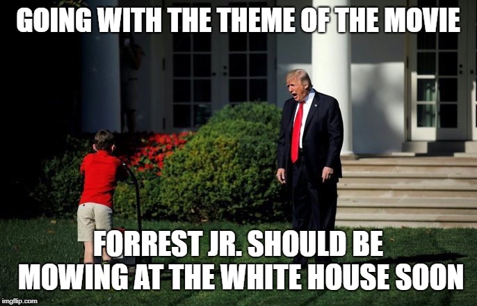 Trump Lawn Mower | GOING WITH THE THEME OF THE MOVIE FORREST JR. SHOULD BE MOWING AT THE WHITE HOUSE SOON | image tagged in trump lawn mower | made w/ Imgflip meme maker