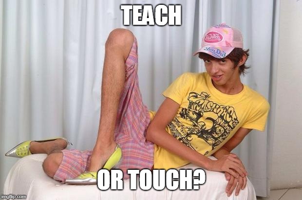 Gay | TEACH OR TOUCH? | image tagged in gay | made w/ Imgflip meme maker