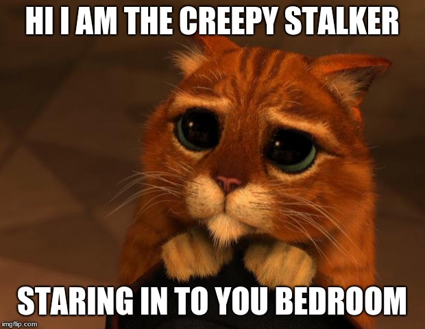 puss in boots eyes |  HI I AM THE CREEPY STALKER; STARING IN TO YOU BEDROOM | image tagged in puss in boots eyes | made w/ Imgflip meme maker