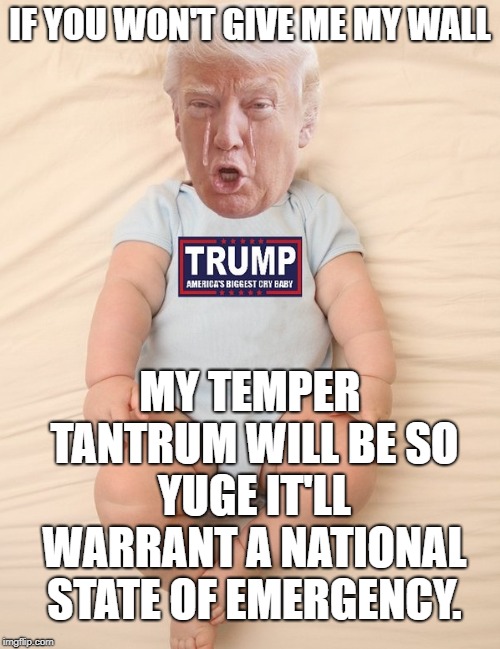 Crying Trump Baby | IF YOU WON'T GIVE ME MY WALL; MY TEMPER TANTRUM WILL BE SO YUGE IT'LL WARRANT A NATIONAL STATE OF EMERGENCY. | image tagged in crying trump baby | made w/ Imgflip meme maker