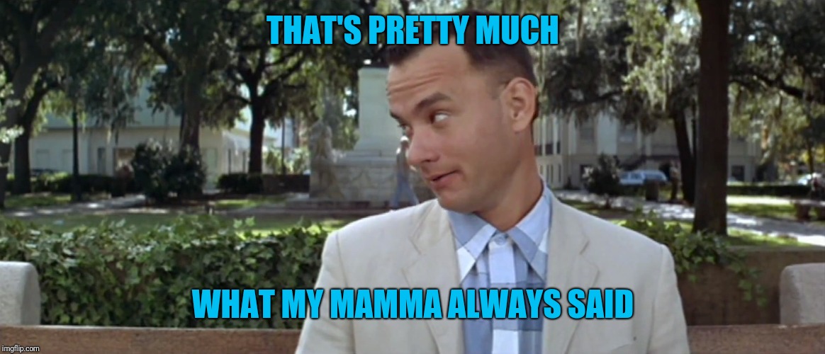 ForrestGump | THAT'S PRETTY MUCH WHAT MY MAMMA ALWAYS SAID | image tagged in forrestgump | made w/ Imgflip meme maker