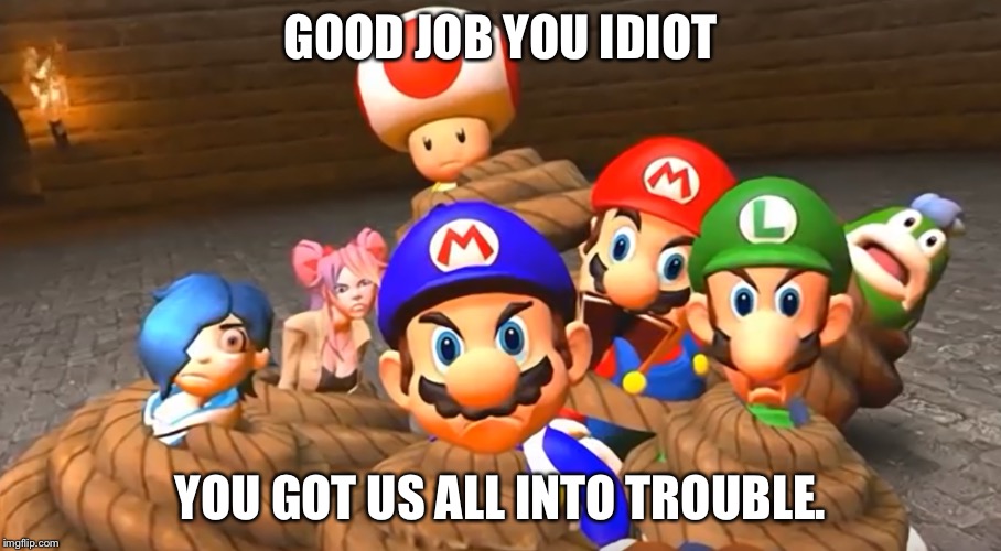 When you really screw up in SMG4 | GOOD JOB YOU IDIOT; YOU GOT US ALL INTO TROUBLE. | image tagged in when you really screw up in smg4 | made w/ Imgflip meme maker