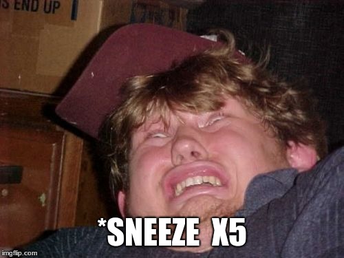 X5 | *SNEEZE  X5 | image tagged in memes,wtf | made w/ Imgflip meme maker