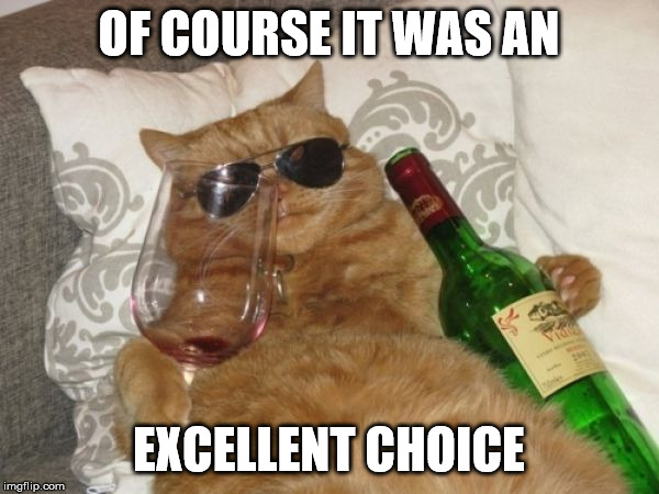 Wine Cat Birthday | OF COURSE IT WAS AN EXCELLENT CHOICE | image tagged in wine cat birthday | made w/ Imgflip meme maker