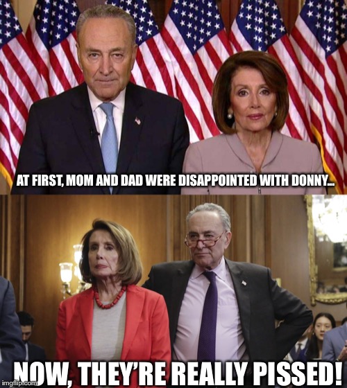 Donny’s Been Baaaaad! | AT FIRST, MOM AND DAD WERE DISAPPOINTED WITH DONNY... NOW, THEY’RE REALLY PISSED! | image tagged in nancy pelosi,chuck schumer,donald trump,trump wall | made w/ Imgflip meme maker