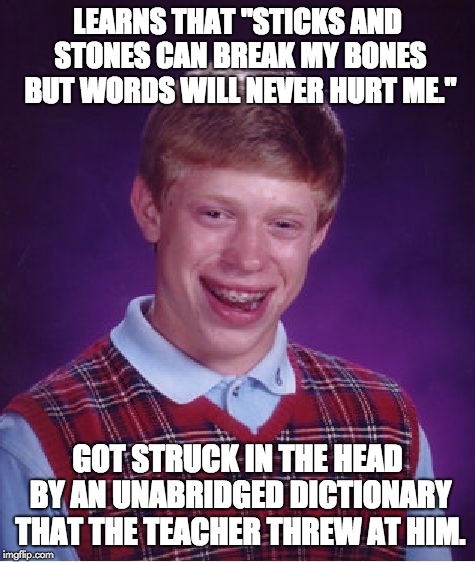 Bad Luck Brian Meme | LEARNS THAT "STICKS AND STONES CAN BREAK MY BONES BUT WORDS WILL NEVER HURT ME."; GOT STRUCK IN THE HEAD BY AN UNABRIDGED DICTIONARY THAT THE TEACHER THREW AT HIM. | image tagged in memes,bad luck brian | made w/ Imgflip meme maker