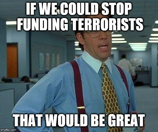 That Would Be Great Meme | IF WE COULD STOP FUNDING TERRORISTS; THAT WOULD BE GREAT | image tagged in memes,that would be great | made w/ Imgflip meme maker