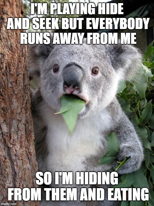 Surprised Koala Meme | I'M PLAYING HIDE AND SEEK BUT EVERYBODY RUNS AWAY FROM ME; SO I'M HIDING FROM THEM AND EATING | image tagged in memes,surprised koala | made w/ Imgflip meme maker
