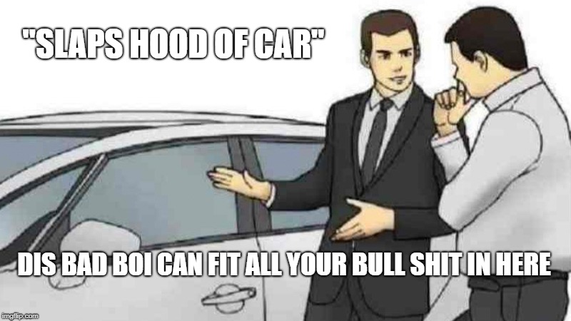 Car Salesman Slaps Roof Of Car Meme | "SLAPS HOOD OF CAR"; DIS BAD BOI CAN FIT ALL YOUR BULL SHIT IN HERE | image tagged in memes,car salesman slaps roof of car | made w/ Imgflip meme maker