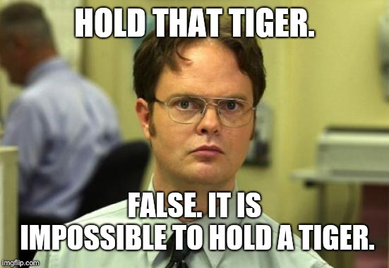 Dwight Schrute | HOLD THAT TIGER. FALSE. IT IS IMPOSSIBLE TO HOLD A TIGER. | image tagged in memes,dwight schrute | made w/ Imgflip meme maker