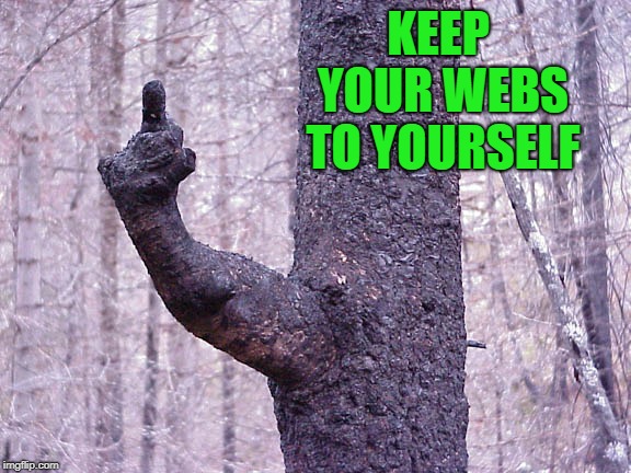 KEEP YOUR WEBS TO YOURSELF | made w/ Imgflip meme maker