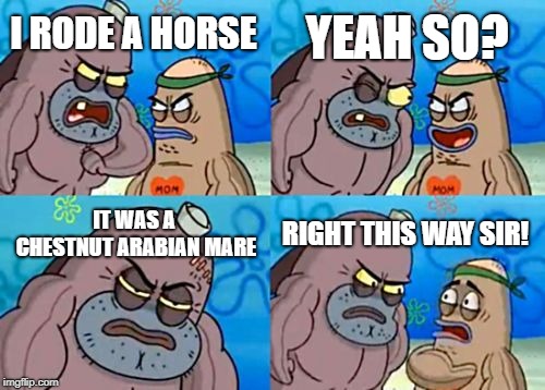WOAH! (get it?) | YEAH SO? I RODE A HORSE; IT WAS A CHESTNUT ARABIAN MARE; RIGHT THIS WAY SIR! | image tagged in memes,how tough are you,horse,funny,horses,riding | made w/ Imgflip meme maker