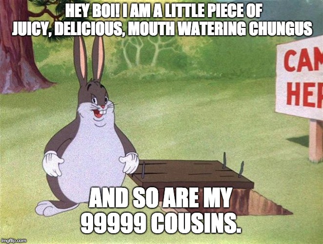 Big Chungus | HEY BOI! I AM A LITTLE PIECE OF JUICY, DELICIOUS, MOUTH WATERING CHUNGUS; AND SO ARE MY 99999 COUSINS. | image tagged in big chungus | made w/ Imgflip meme maker