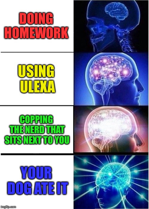Expanding Brain | DOING HOMEWORK; USING ULEXA; COPPING THE NERD THAT SITS NEXT TO YOU; YOUR DOG ATE IT | image tagged in memes,expanding brain | made w/ Imgflip meme maker