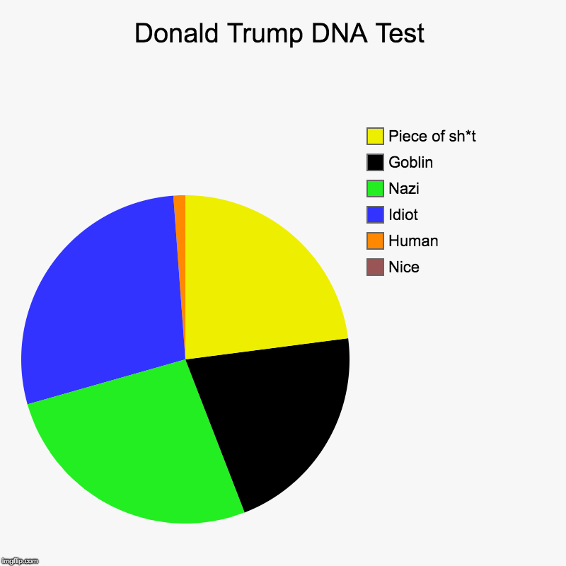 Donald Trump DNA Test | Donald Trump DNA Test | Nice, Human, Idiot, Nazi, Goblin, Piece of sh*t | image tagged in charts,pie charts | made w/ Imgflip chart maker