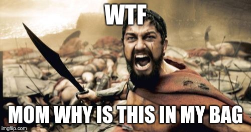 Sparta Leonidas | WTF; MOM WHY IS THIS IN MY BAG | image tagged in memes,sparta leonidas | made w/ Imgflip meme maker