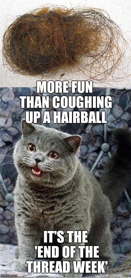 End of the Thread Week | March 7 - 13 | A BeyondTheComments Event  | MORE FUN THAN COUGHING UP A HAIRBALL; IT'S THE 'END OF THE THREAD WEEK' | image tagged in i can has cheezburger cat,hair ball,btc,beyondthecomments,palringo,endofthread | made w/ Imgflip meme maker
