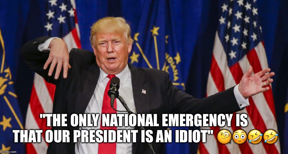 Donald Trump Is an idiot!  | "THE ONLY NATIONAL EMERGENCY IS THAT OUR PRESIDENT IS AN IDIOT" 🧐😳🤣🤣 | image tagged in donald trump,idiot,ann coulter,lol | made w/ Imgflip meme maker