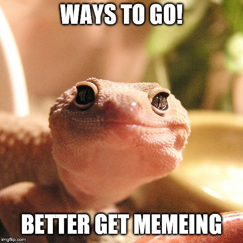 genuinely-happy-gecko | WAYS TO GO! BETTER GET MEMEING | image tagged in genuinely-happy-gecko | made w/ Imgflip meme maker