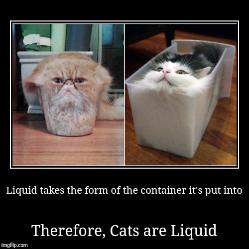 Pour me a cup of cat.  | image tagged in funny,demotivationals,cats,liquid | made w/ Imgflip demotivational maker