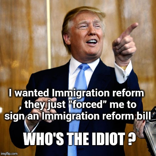 Keep underestimating the man | I wanted Immigration reform , they just "forced" me to sign an Immigration reform bill; WHO'S THE IDIOT ? | image tagged in donald trump,president trump,stable genius,give that man a cookie,trump immigration policy | made w/ Imgflip meme maker